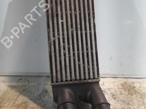 Used Intercooler Intercooler PEUGEOT PARTNER Tepee 1.6 HDi 16V (90 hp) 21705720 21705720