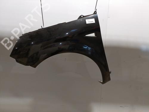 Left front fenders RENAULT SCÉNIC II (JM0/1_) 1.5 dCi (JM02, JM13) | BP29003859C41 