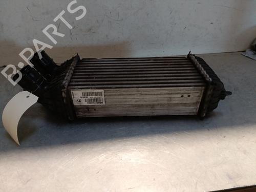 Intercooler CITROËN C3 II (SC_) 1.6 BlueHDi 100 | BP28443525M30