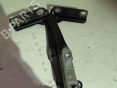 hingedoor-check-strap-dacia-sandero-2008-23823051 main image