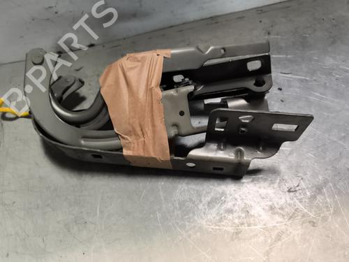 Hinge/Door check strap PEUGEOT 3008 I MPV (0U_) 2.0 HDi 150 / BlueHDi 150 | BP27810064C146 