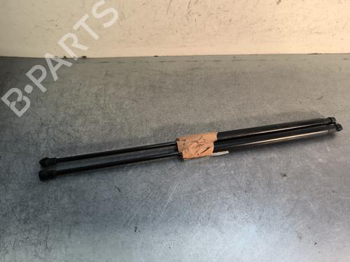 Tailgate lift support NISSAN QASHQAI I (J10, NJ10) 1.5 dCi | BP29733315C138 
