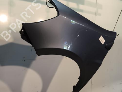 Left front fenders RENAULT CLIO III (BR0/1, CR0/1) 1.2 16V Hi-Flex (BR1U, CR1U) | BP30357306C41