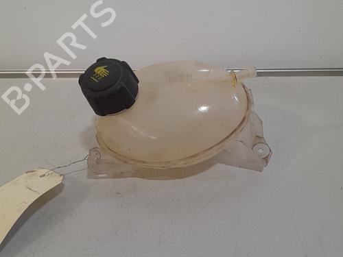Used Expansion tank DACIA SANDERO II TCe 90 (B8M1, B8MA, B8AC) (90 hp) 21710405