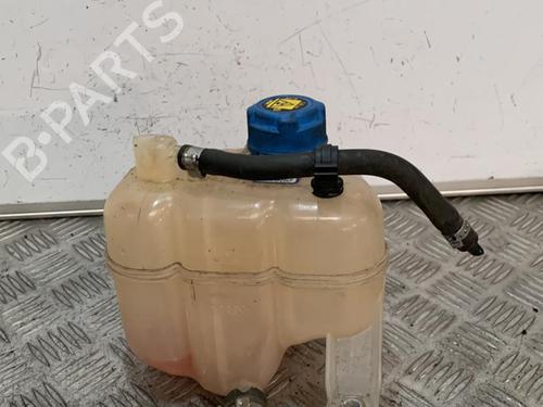Expansion tank FIAT PANDA (312_, 319_) 1.3 D Multijet 4x4 (312PXL1A) | BP21706989C120 