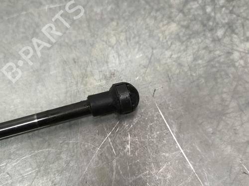 Tailgate lift support PEUGEOT 107 (PM_, PN_) 1.0 | BP29934777C138