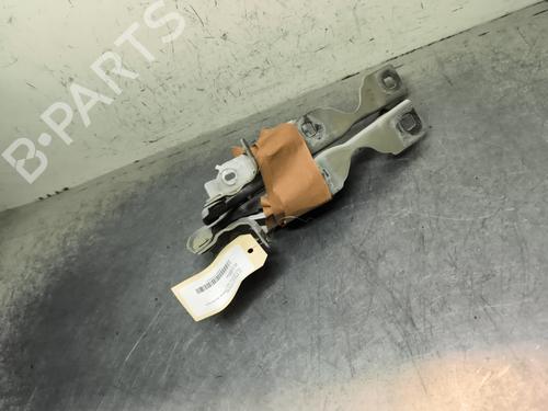 hingedoor-check-strap-citroen-c3-iii-sx-2016-31872114 main image