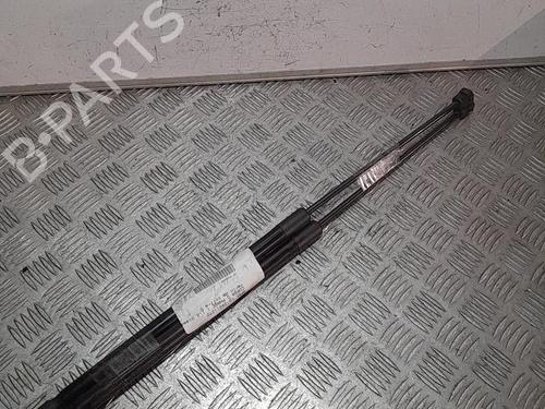 Tailgate lift support OPEL CORSA D (S07) 1.3 CDTI (L08, L68) | BP29384453C138 