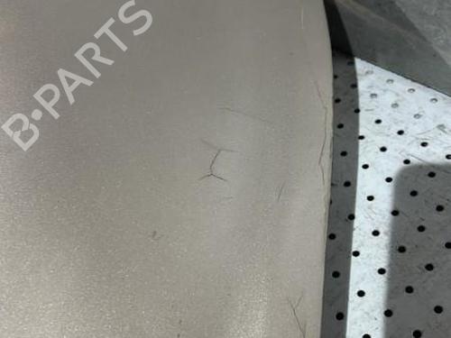 Left rear door RENAULT CLIO III Grandtour (KR0/1_) 1.5 dCi (KR0H, KR1S) | BP21722099C4 