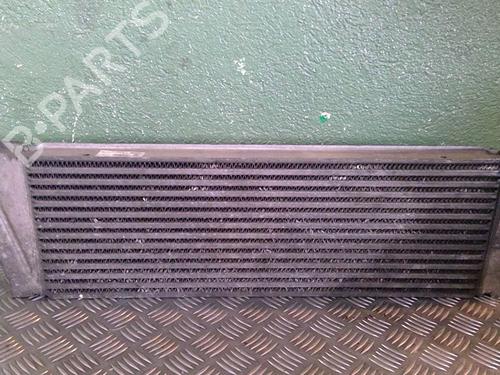Used Oil radiator RENAULT GRAND SCÉNIC II (JM0/1_) 1.9 dCi (JM0G, JM12, JM1G, JM2C) (120 hp) 21716716