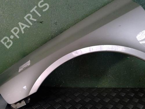 Left front fenders RENAULT LAGUNA II (BG0/1_) 1.9 dCi (BG08, BG0G) | BP21702993C41 