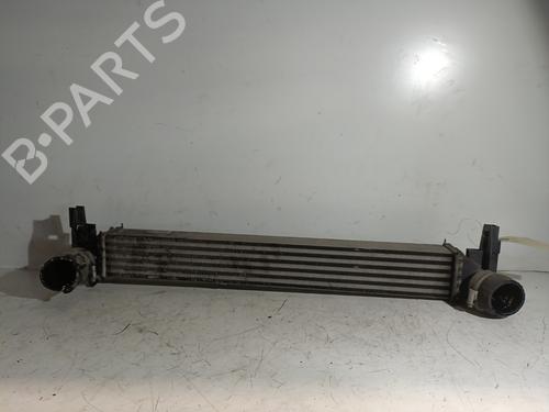 Used Intercooler Intercooler VW POLO V (6R1, 6C1) 1.6 TDI (90 hp) 24346270 24346270