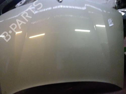 Used Hood RENAULT LAGUNA II (BG0/1_) 1.9 dCi (BG08, BG0G) (120 hp) 21702992