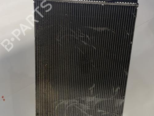 Used Water radiator Water radiator RENAULT MEGANE III Coupe (DZ0/1_) 1.9 dCi (DZ0N, DZ0J, DZ1J, DZ1K) (131 hp) 25625462 25625462