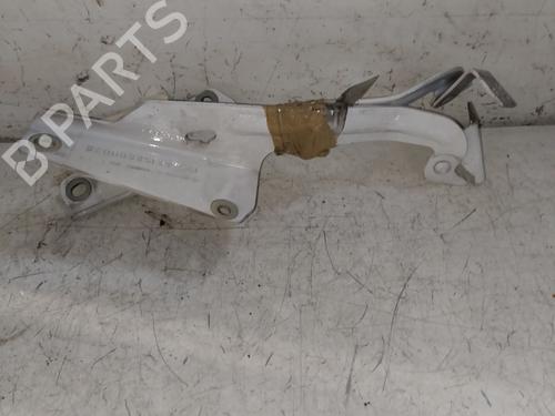 Hinge/Door check strap RENAULT KANGOO Express (FW0/1_) 1.5 dCi 95 (FW16) | BP25336002C146 