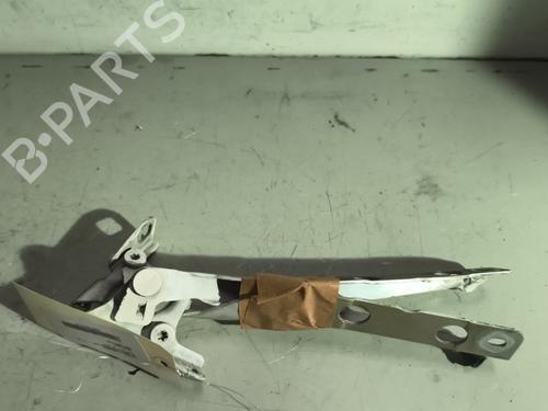 hingedoor-check-strap-citroen-c4-grand-picasso-ii-da_-de_-2013-26178143 main image