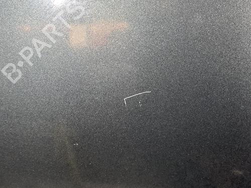 Used Hood DACIA SANDERO 1.5 dCi (86 hp) 21723088