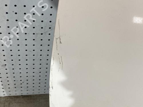 Left front door RENAULT ZOE (BFM_) ZOE | BP21718108C2 