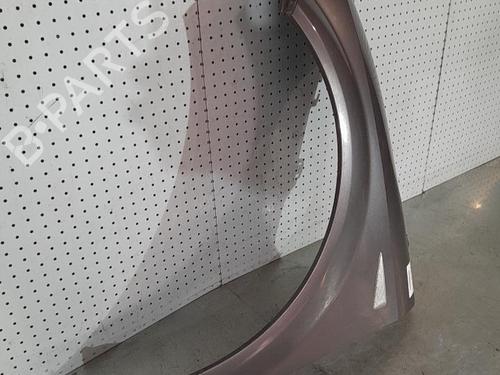 Used Left front fenders RENAULT GRAND SCÉNIC II (JM0/1_) 1.5 dCi (JM02, JM13) (101 hp) 21695937
