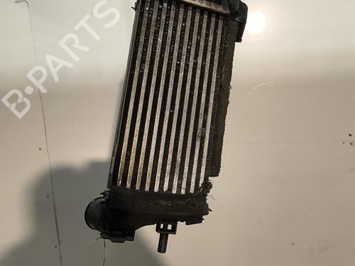 Intercooler FORD C-MAX II (DXA/CB7, DXA/CEU) 1.5 TDCi (120 hp) 30829855