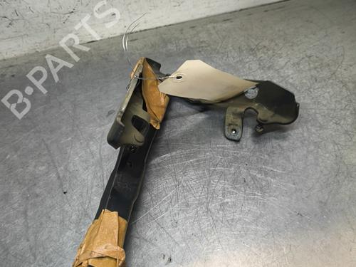 hingedoor-check-strap-ds-ds-5-kf_-2015-2016-2017-2018-32996718 main image