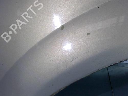 Used Left front fenders CITROËN C3 Pluriel (HB_) 1.6 (109 hp) 22031901