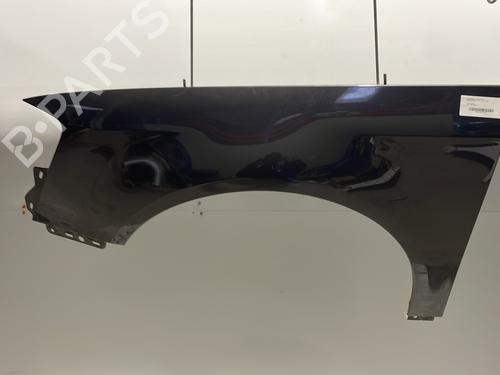 Used Left front fenders VW PASSAT B6 (3C2) 2.0 TDI 16V (140 hp) 24346603