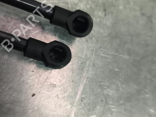 Tailgate lift support RENAULT KADJAR (HA_, HL_) 1.5 BLUE dCi 115 (HLA6) | BP29732939C138