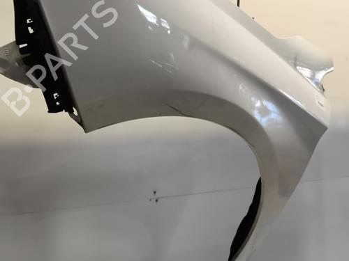 left-front-fenders-citroen-c4-ii-nc_-2009-23967479 main image