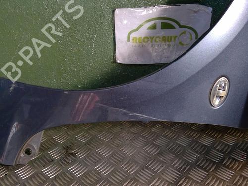 Left front fenders PEUGEOT 307 (3A/C) 1.6 HDi | BP21724757C41 