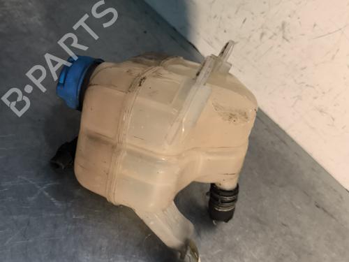 Expansion tank FIAT PANDA (312_, 319_) 1.3 D Multijet 4x4 (312PXL1A) | BP29997404C120