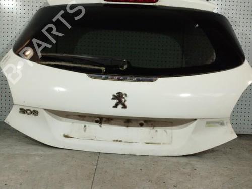 Tailgate PEUGEOT 208 I (CA_, CC_) 1.6 HDi / BlueHDi 75 | BP21700418C6 