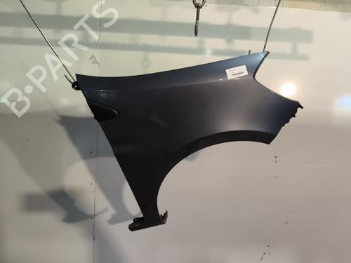 Used Right front fenders RENAULT CLIO III (BR0/1, CR0/1) 1.2 16V Hi-Flex (BR1U, CR1U) (75 hp) 30357305