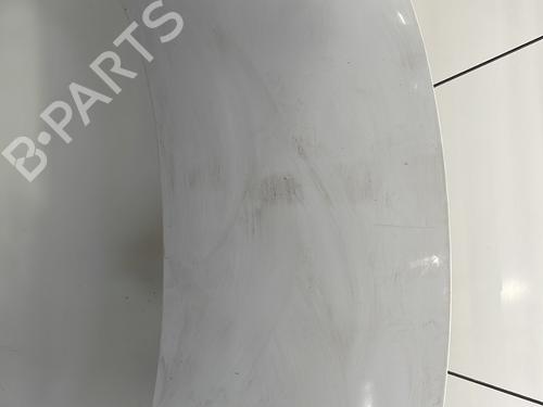 Used Hood RENAULT SCÉNIC III (JZ0/1_) 1.5 dCi (110 hp) 21693162