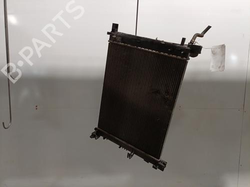 Water radiator DACIA LODGY (JS_) 1.5 dCi (JSMC, JSAF) | BP29354125M31 