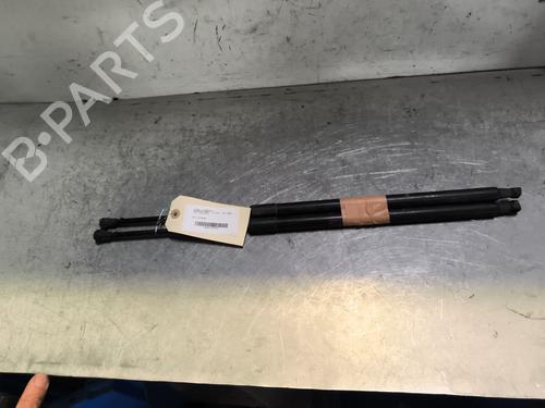 Used Tailgate lift support NISSAN X-TRAIL II (T31) 2.0 dCi 4x4 (150 hp) 28166135