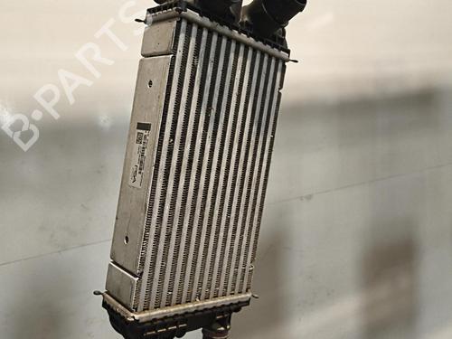 Intercooler DS DS 3 / DS 3 CROSSBACK (UR_, UC_, UJ_) 1.2 PureTech 130 (URHNSS) | BP36512205M30 - Image 2