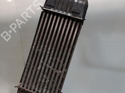 Used Intercooler CITROËN C3 II (SC_) 1.6 HDi 90 (90 hp) 28443737
