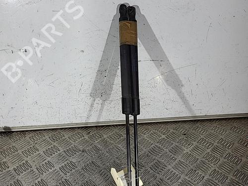Tailgate lift support VW GOLF VI (5K1) 1.6 TDI | BP29384460C138 