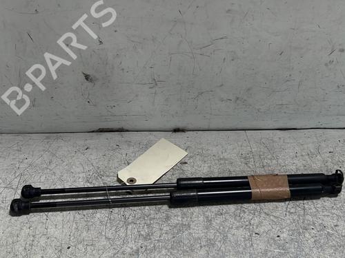 Tailgate lift support DACIA SANDERO II 1.5 dCi | BP25720950C138