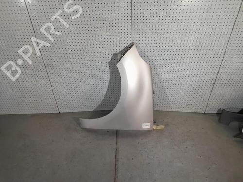 Left front fenders RENAULT SCÉNIC III (JZ0/1_) 1.9 dCi (JZ0J, JZ1J, JZ1K, JZ1S) | BP21700614C41 