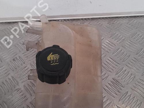 Used Expansion tank RENAULT MEGANE III Coupe (DZ0/1_) 1.5 dCi (DZ0B) (106 hp) 21702722