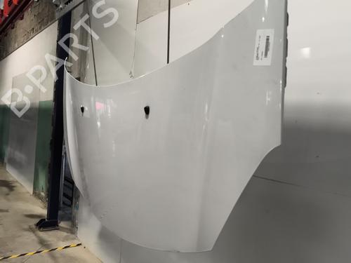 Hood CITROËN C3 II (SC_) 1.6 BlueHDi 100 | BP28443491C1