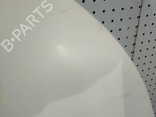 Right front door RENAULT KANGOO Express (FC0/1_) 1.5 dCi (FC08, FC09) | BP22032151C3 