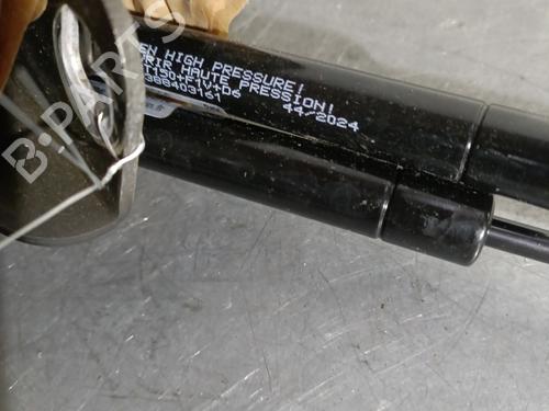 Used Hinge/Door check strap CITROËN DS5 1.6 THP 200 (200 hp) 29081658