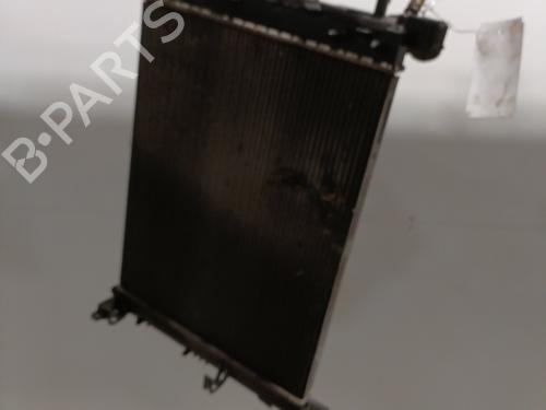 Used Water radiator DACIA LODGY (JS_) 1.5 dCi (JSMC, JSAF) (107 hp) 29354125