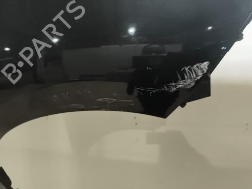 Right front fenders RENAULT SCÉNIC III (JZ0/1_) 1.5 dCi | BP29538209C42 