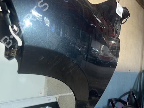 Left front fenders RENAULT MEGANE III Hatchback (BZ0/1_, B3_) 1.5 dCi | BP21703851C41 