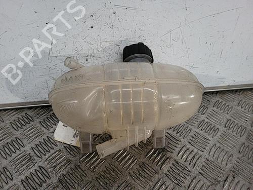 Expansion tank RENAULT TRAFIC III Van (FG_) 1.6 dCi 120 (FGMB, FGMC) | BP21719058C120 