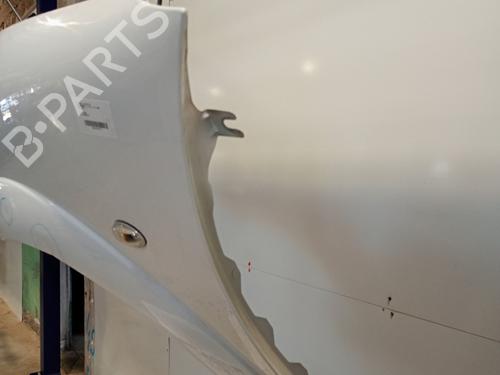Left front fenders CITROËN C3 I (FC_, FN_) 1.4 HDi | BP25034162C41 